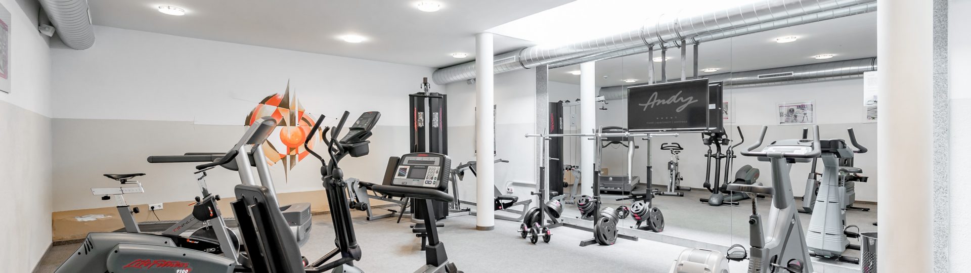 Fitness & Gesundheit 1 fitnessraum1